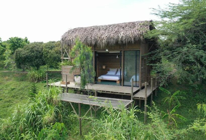 ファミリールーム, Ankua Eco