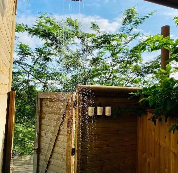 キャビン, Ankua Eco