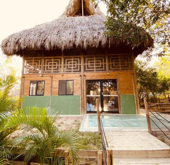 2ベッドルームハウス, Ankua Eco