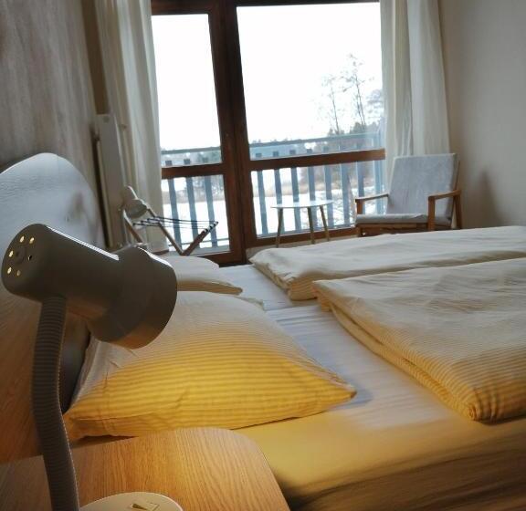 스탠다드 발코니 룸, Chytrov