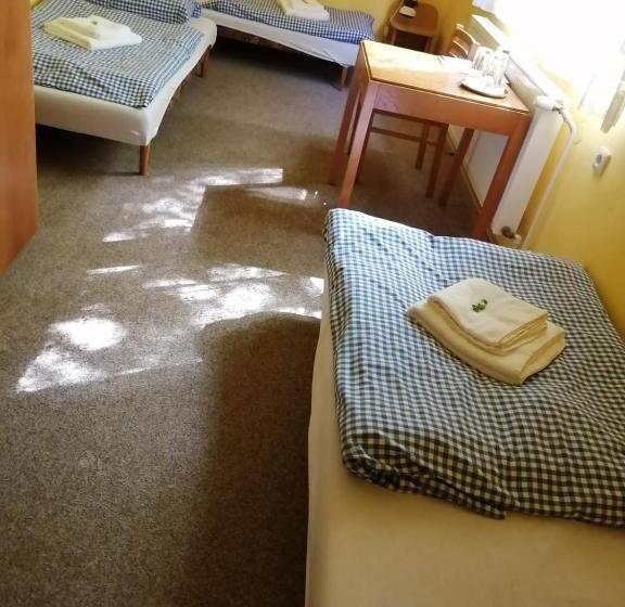 스탠다드 트리플 룸, Chytrov