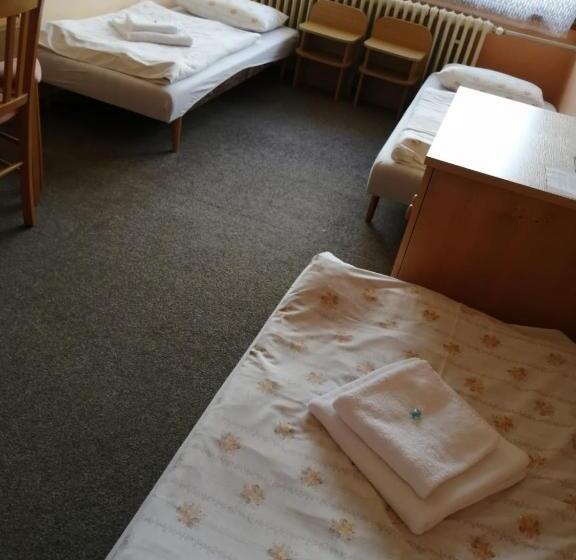 스탠다드 트리플 룸, Chytrov