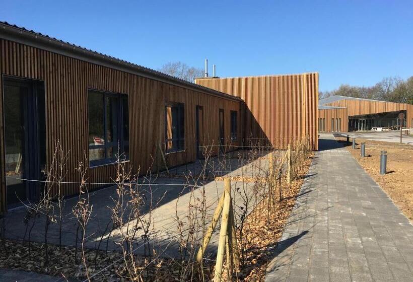 Четырехместный Номер Стандарт, La Résidence Du Parc D Olhain