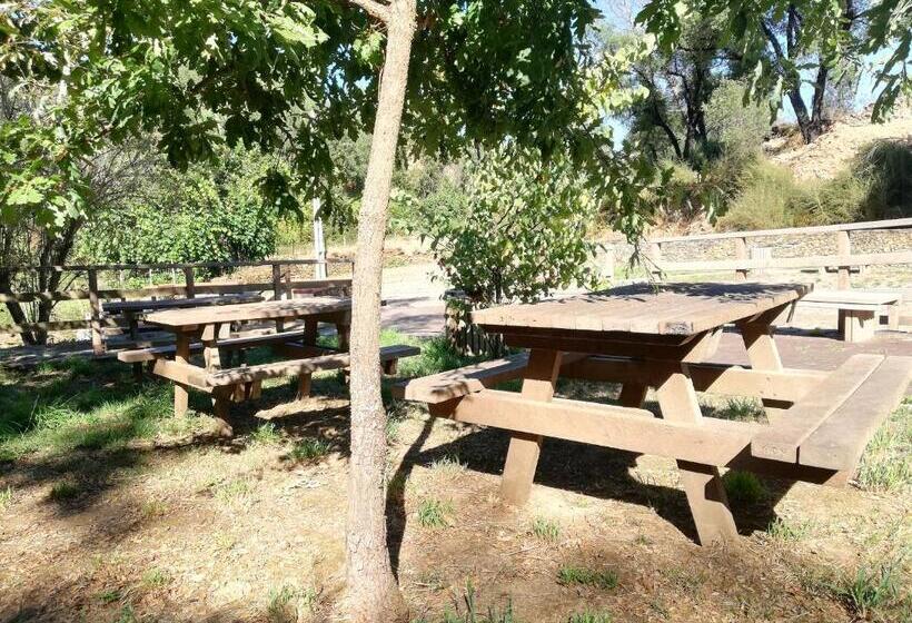 シングルベーシックルーム, Mondalva   Guest House