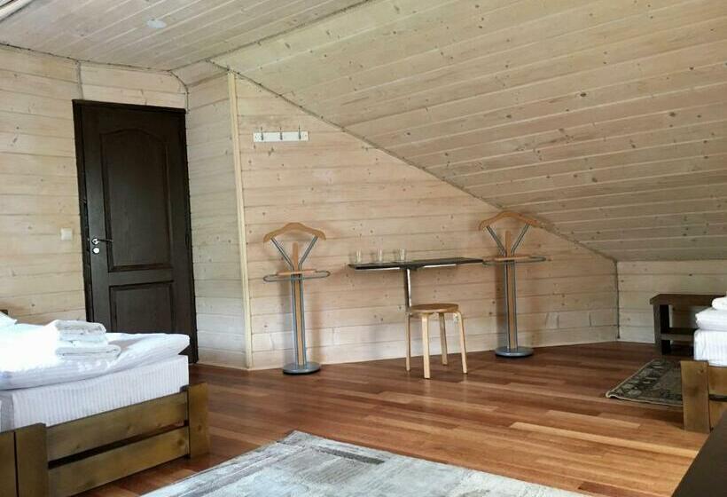 Номер Стандарт, Vas.vom