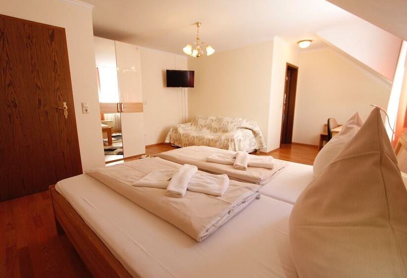 غرفة قياسية فردية, Adria Stuben