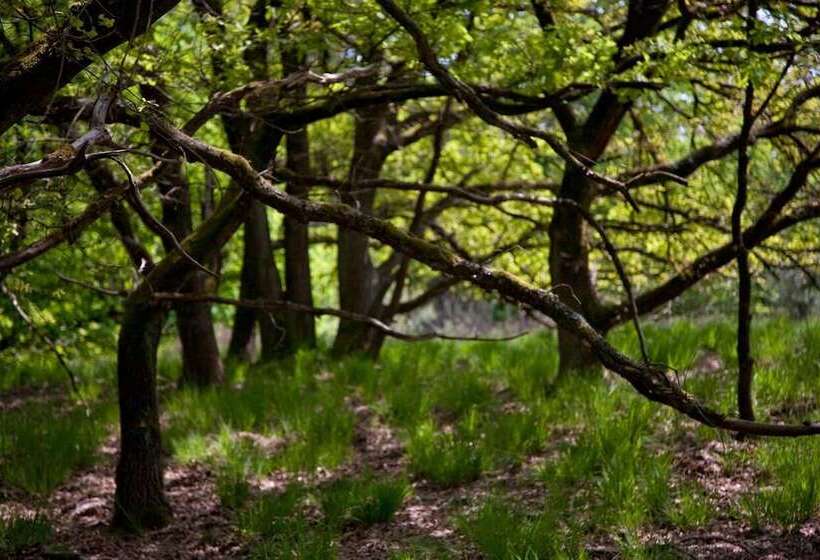 חדר סטנדרט, Boshotel   Vlodrop, Roermond