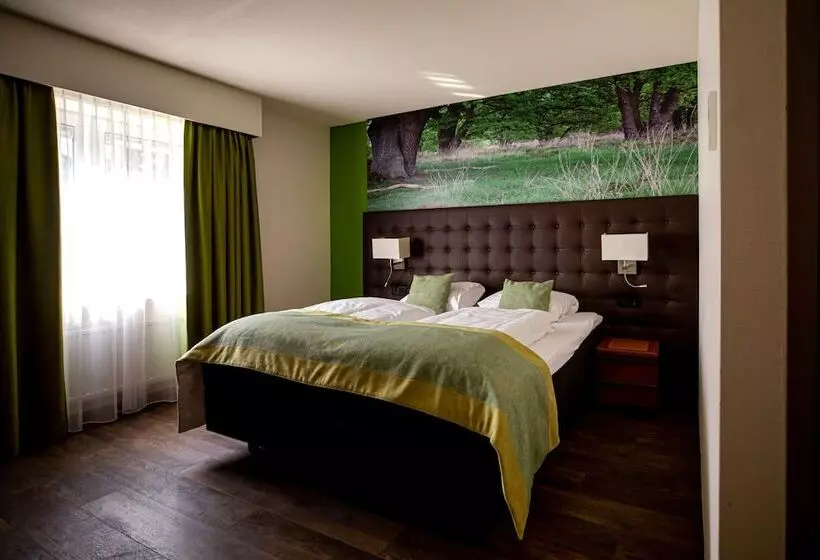 スタンダードルーム, Boshotel Vlodrop, Roermond