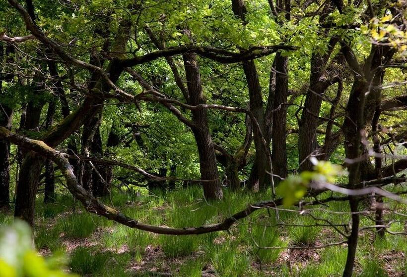 סוויטה, Boshotel   Vlodrop, Roermond