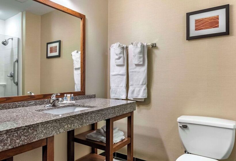 Номер Стандарт, Comfort Inn Williamsport