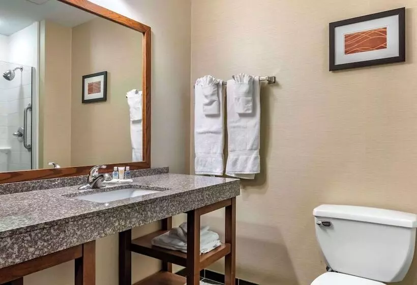 اتاق استاندارد, Comfort Inn Williamsport