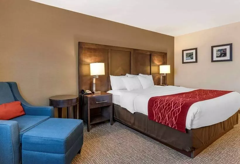 اتاق استاندارد, Comfort Inn Williamsport