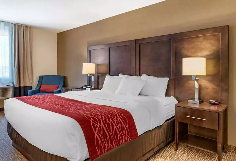 اتاق استاندارد, Comfort Inn Williamsport