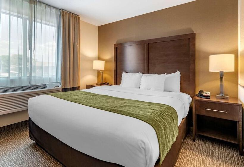 חדר סטנדרט, Comfort Inn Williamsport