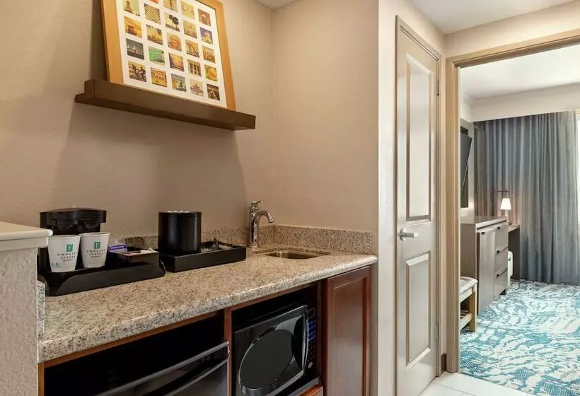 ダブルベッドスタンダードルーム, Embassy Suites By Hilton Tampa Downtown Convention Center