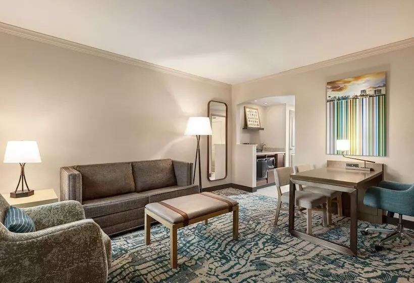 ダブルベッドスタンダードルーム, Embassy Suites By Hilton Tampa Downtown Convention Center