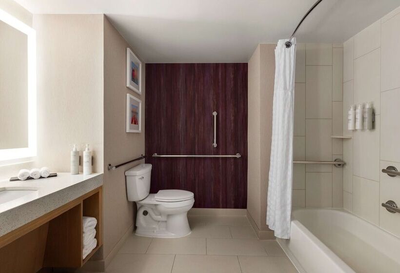 إستوديو قياسى سرير مزدوج, Embassy Suites By Hilton Tampa Downtown Convention Center