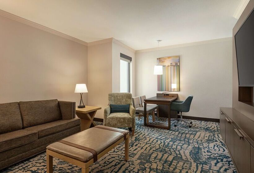 스탠다드 스튜디오 더블 침대, Embassy Suites By Hilton Tampa Downtown Convention Center