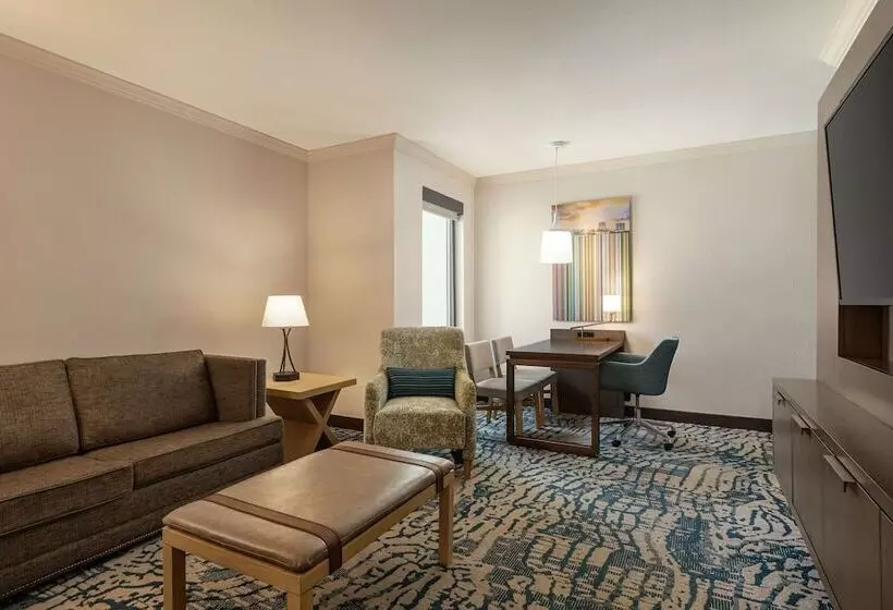 ダブルベッドのスタンダードスタジオ, Embassy Suites By Hilton Tampa Downtown Convention Center