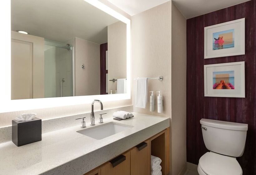 إستوديو قياسى سرير مزدوج, Embassy Suites By Hilton Tampa Downtown Convention Center