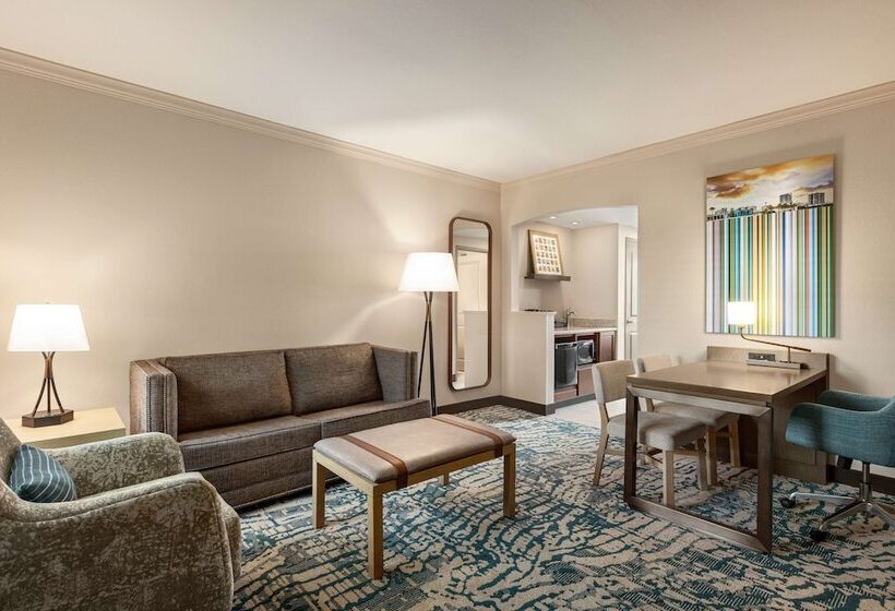 إستوديو قياسى سرير مزدوج, Embassy Suites By Hilton Tampa Downtown Convention Center