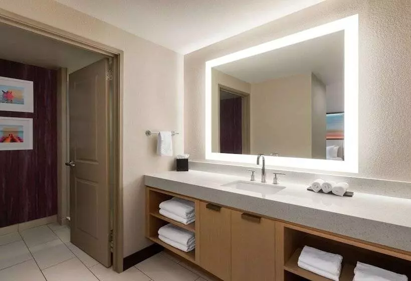 ダブルベッドスタンダードルーム, Embassy Suites By Hilton Tampa Downtown Convention Center