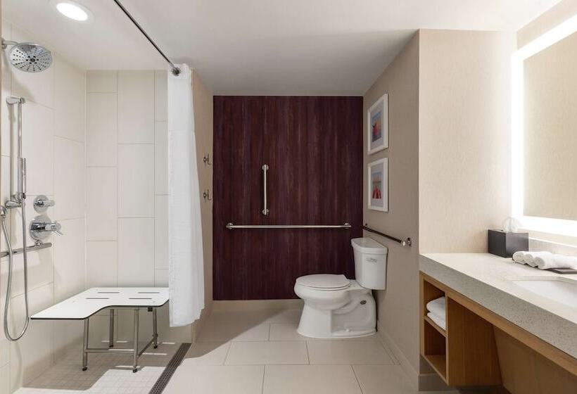 جناح لذوى الاحتياجات الخاصة, Embassy Suites By Hilton Tampa Downtown Convention Center