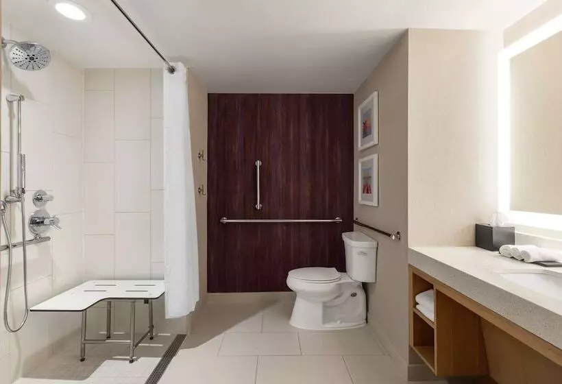 身障者適用スイートルーム, Embassy Suites By Hilton Tampa Downtown Convention Center