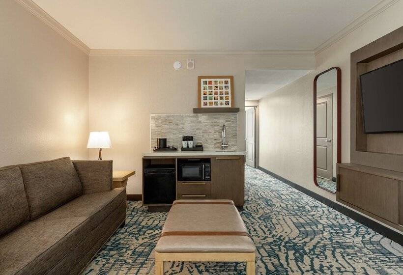 장애인을 위한 스위트, Embassy Suites By Hilton Tampa Downtown Convention Center