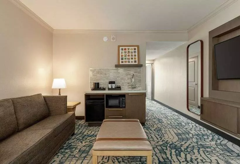 身障者適用スイートルーム, Embassy Suites By Hilton Tampa Downtown Convention Center