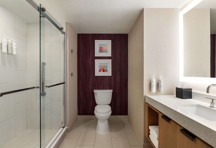 إستوديو قياسى سرير مزدوج, Embassy Suites By Hilton Tampa Downtown Convention Center