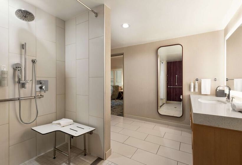 إستوديو قياسى سرير مزدوج, Embassy Suites By Hilton Tampa Downtown Convention Center