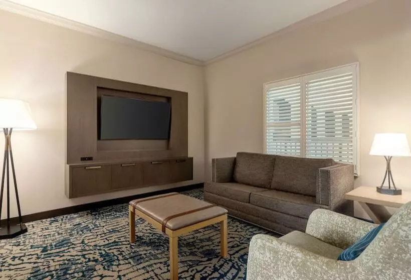 ダブルベッドのスタンダードスタジオ, Embassy Suites By Hilton Tampa Downtown Convention Center