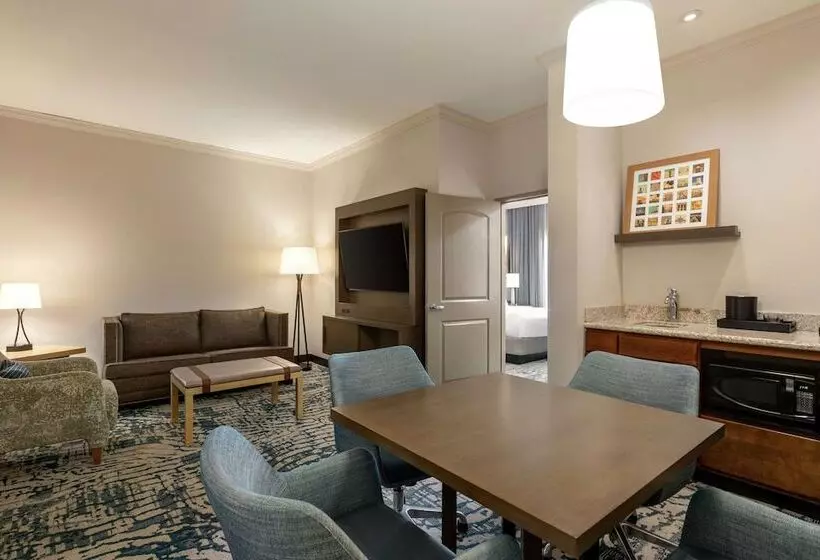 ダブルベッドスタンダードルーム, Embassy Suites By Hilton Tampa Downtown Convention Center