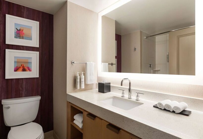 إستوديو قياسى سرير مزدوج, Embassy Suites By Hilton Tampa Downtown Convention Center