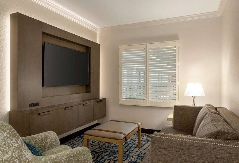 إستوديو قياسى سرير مزدوج, Embassy Suites By Hilton Tampa Downtown Convention Center