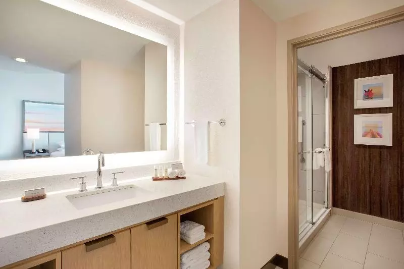 キングサイズベッドのスイートルーム, Embassy Suites By Hilton Tampa Downtown Convention Center
