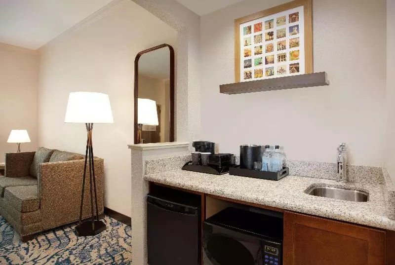キングサイズベッドのスイートルーム, Embassy Suites By Hilton Tampa Downtown Convention Center