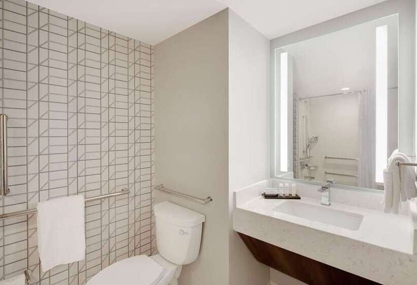 غرفة قياسية, Embassy Suites By Hilton Tampa Downtown Convention Center