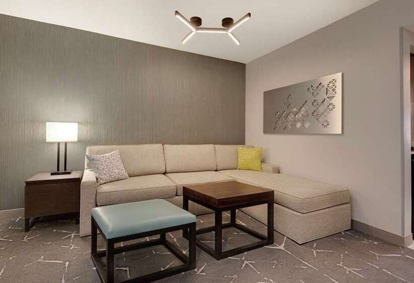 غرفة قياسية, Embassy Suites By Hilton Tampa Downtown Convention Center