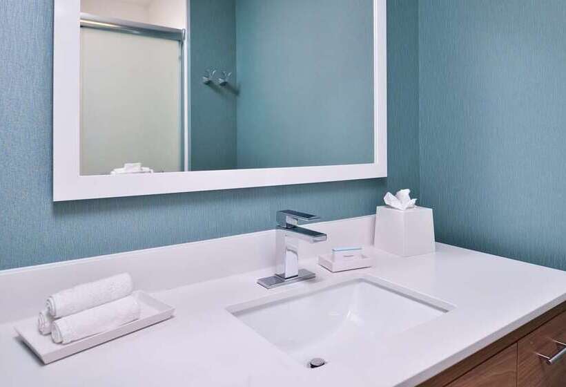 스탠다드 룸, Embassy Suites By Hilton Tampa Downtown Convention Center