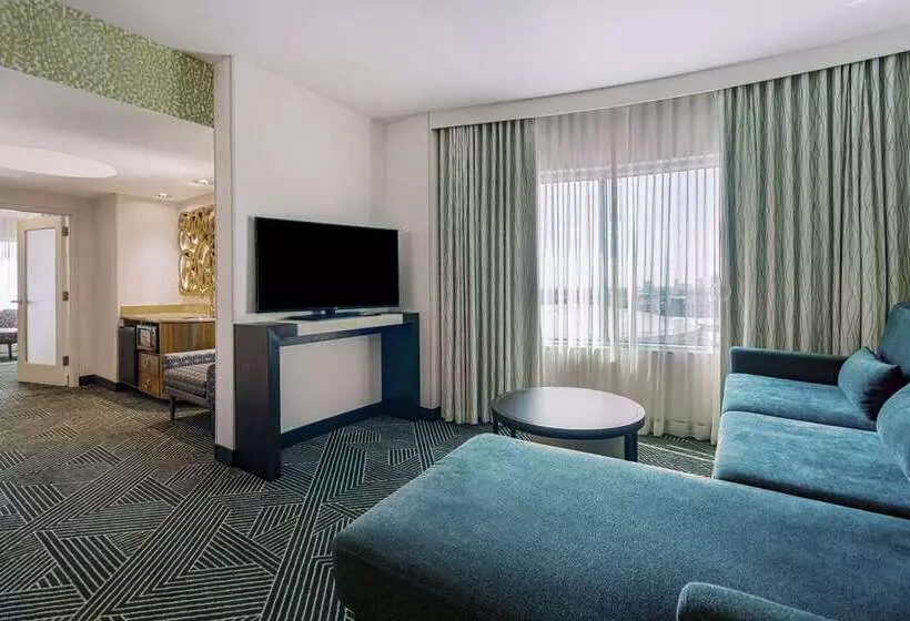 スタンダードルーム, Embassy Suites By Hilton Tampa Downtown Convention Center
