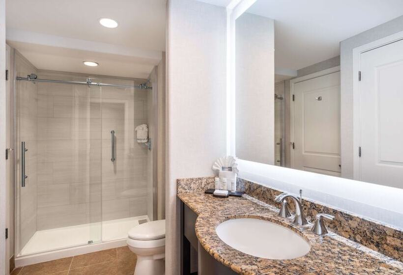 سوئیت 2 خوابه, Embassy Suites By Hilton Tucson Paloma Village