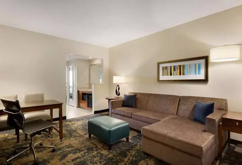 キングサイズベッドのスタンダードルーム, Embassy Suites By Hilton Tucson Paloma Village