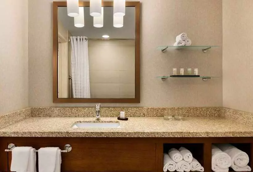 キングサイズベッドのスタンダードルーム, Embassy Suites By Hilton Tucson Paloma Village