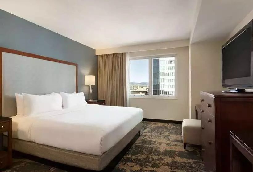 キングサイズベッドのスタンダードルーム, Embassy Suites By Hilton Tucson Paloma Village