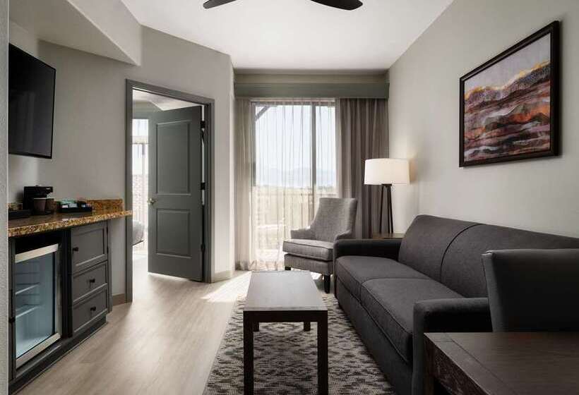 اتاق استاندارد با تخت بزرگ, Embassy Suites By Hilton Tucson Paloma Village