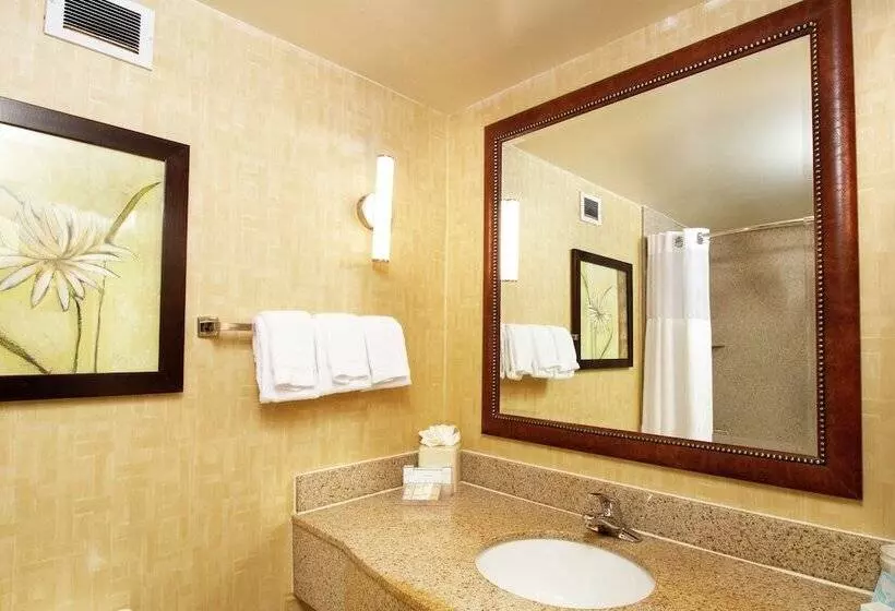 スイート, Hilton Garden Inn Anderson