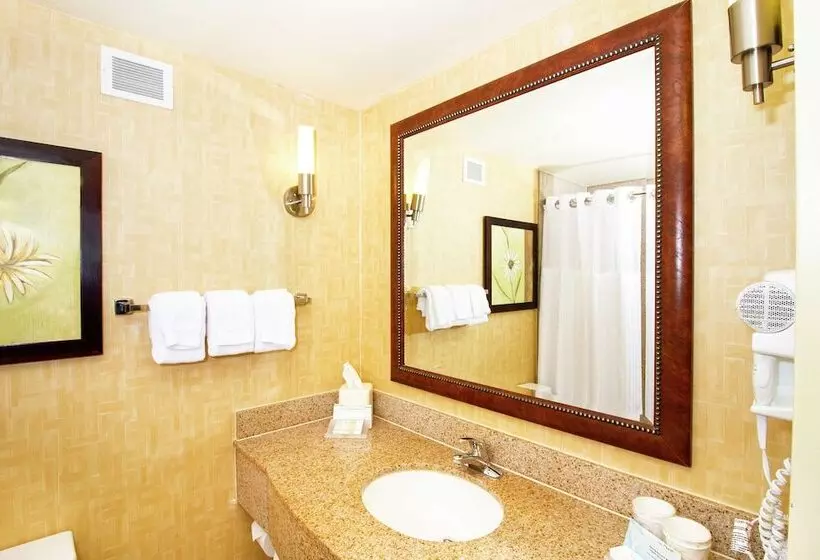 スタンダードルーム, Hilton Garden Inn Anderson