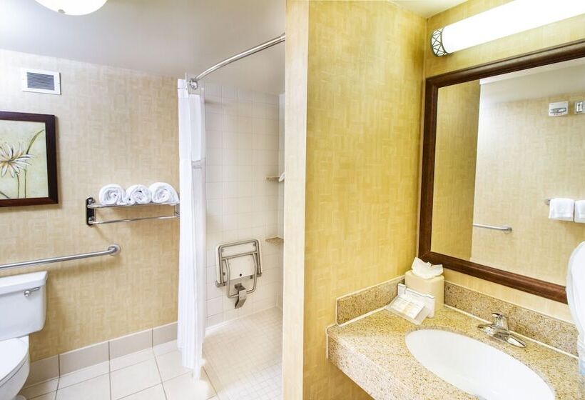 غرفة قياسية لذوى الاحتياجات الخاصة, Hilton Garden Inn Anderson